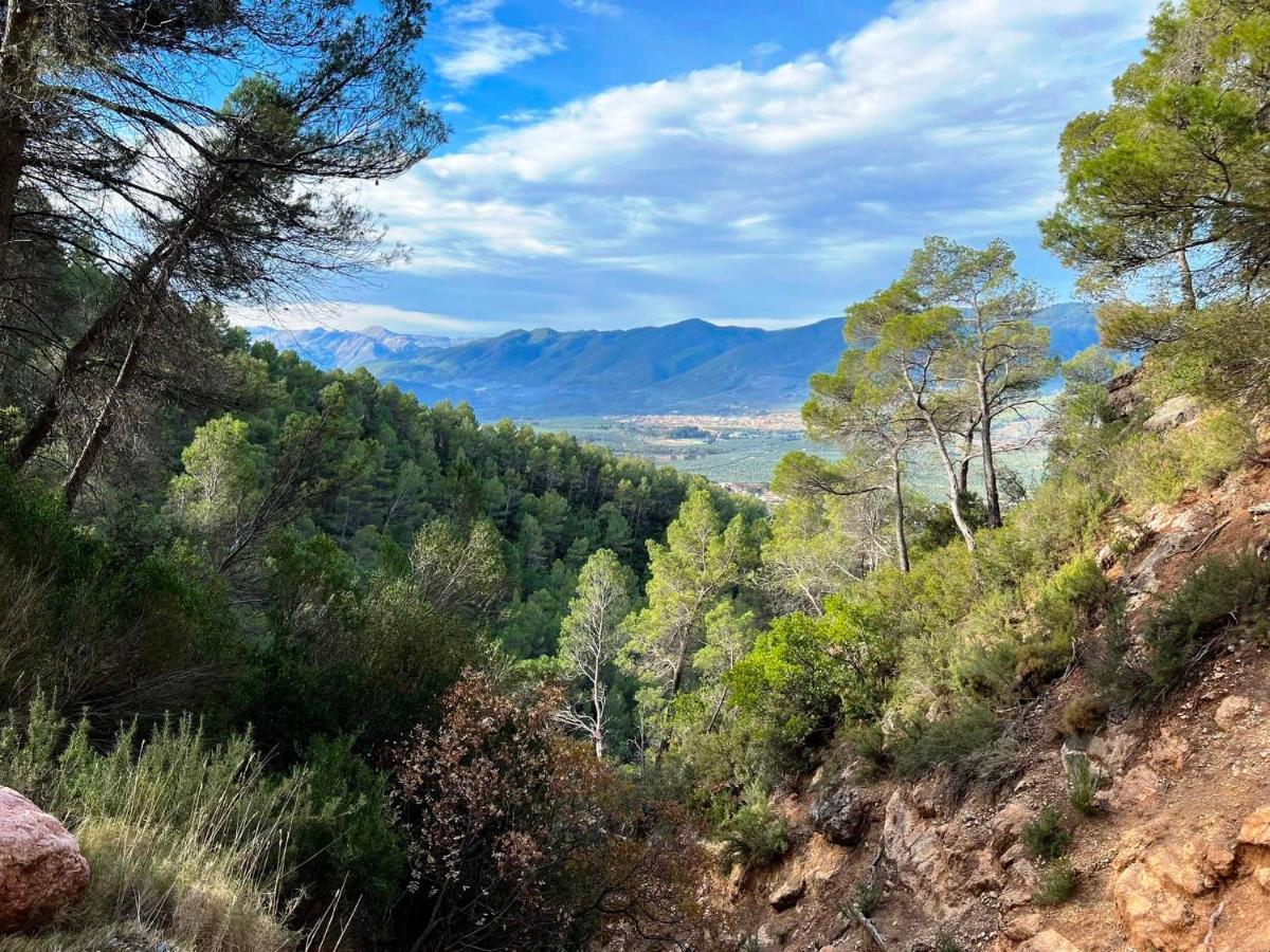 Casa Rural Puente Del Segura エルチェ・デ・ラ・シエラ エクステリア 写真