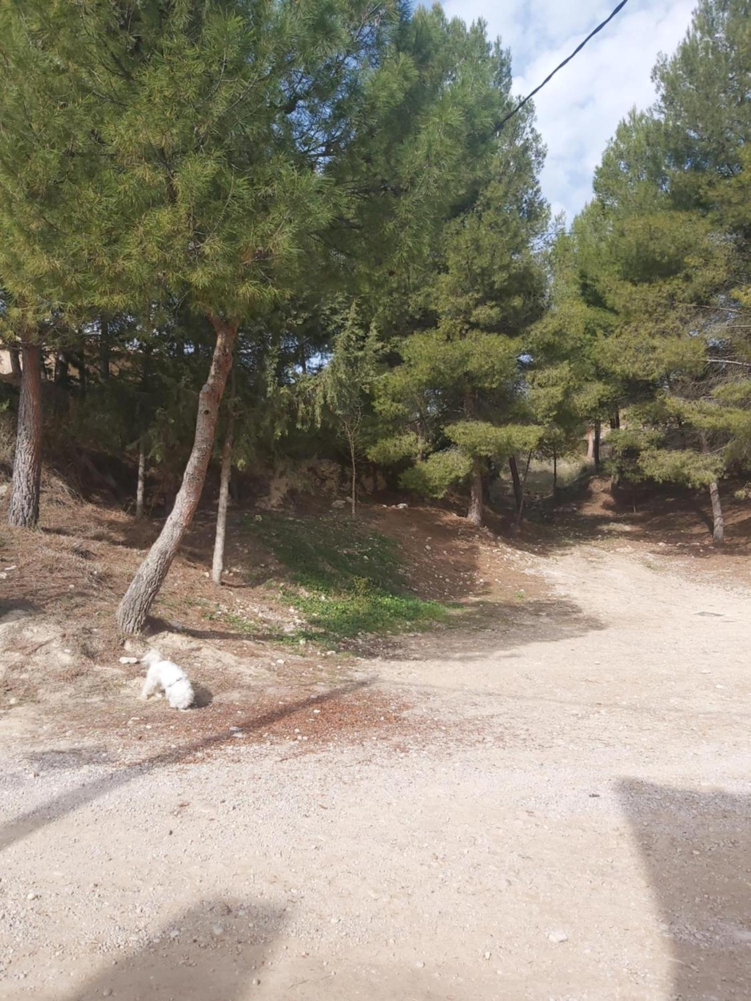 Casa Rural Puente Del Segura エルチェ・デ・ラ・シエラ エクステリア 写真